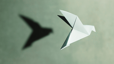 Paper crane and its shadow against a tinted green background.