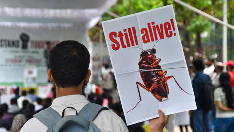 A man, viewed from behind and wearing a backpack, holds up a sign that shows a cockroach saying "Still alive!" at a student protest. 
