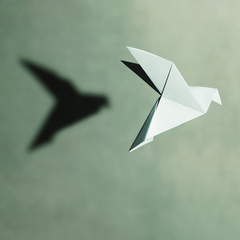 A paper crane and its shadow, with a teal-colored wall behind it.