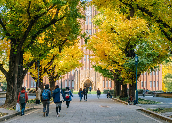 Japanese students walk along a yellow tree-lined street in front of a large brick building.