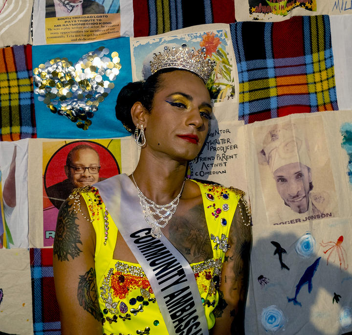 A woman in a dress and tiara, wearing a sash, poses in front of a collage of images.