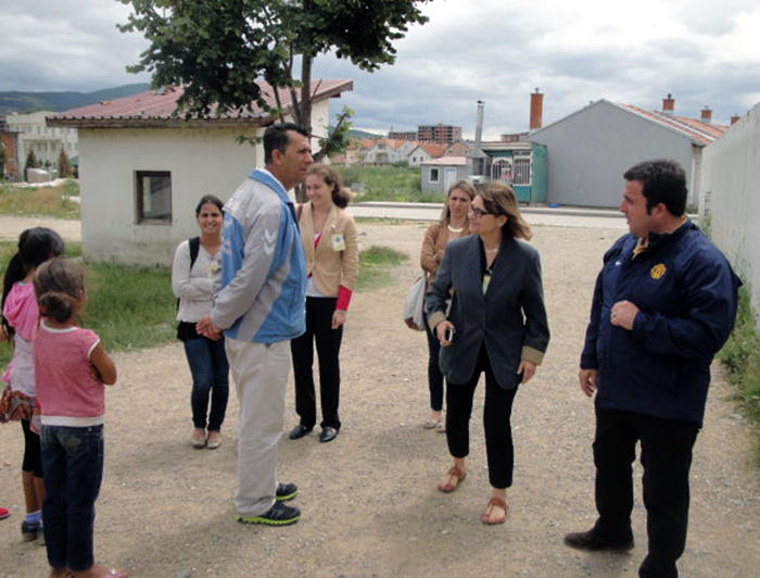 Image of Roma research team in the field