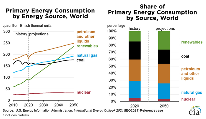 Line graph shows primary energy consumption by energy source and bar graph shows share of primary energy consumption by source.
