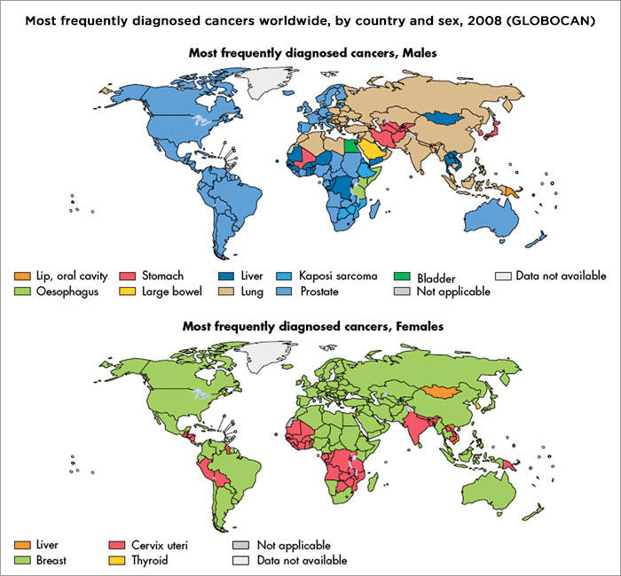 Map of frequently diagnosed cancers among males and females across the world