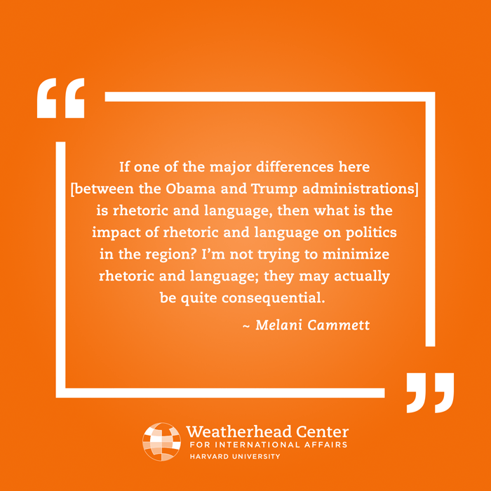Melani Cammett quote