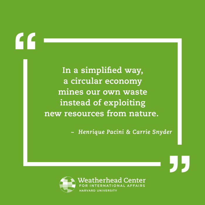 Quotation on a circular economy by Henrique Pacini