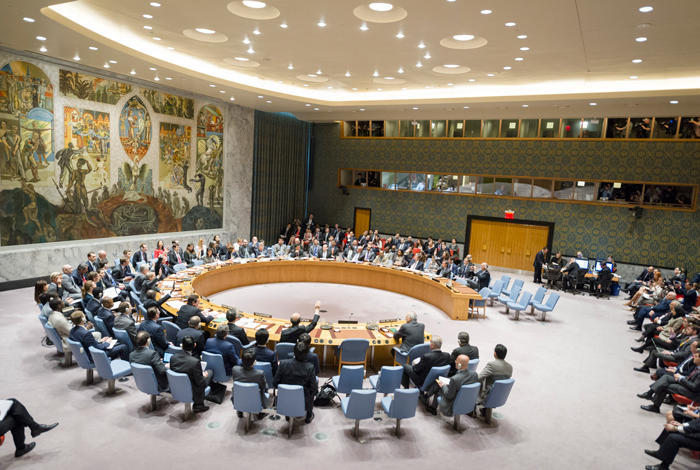Image of Security Council Resolution