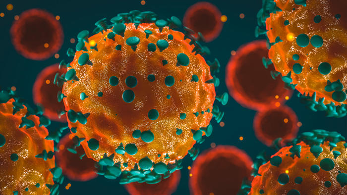 Rendering of Coronavirus