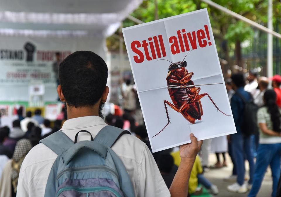 A man, viewed from behind and wearing a backpack, holds up a sign that shows a cockroach saying "Still alive!" at a student protest. 